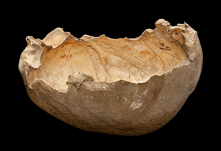Illustration for article titled Grim Discovery Confirms Cannibalism Among Early Britons